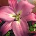 Profile Picture of Elsa Hidalgo (@elsa.hidalgo.583) on Facebook