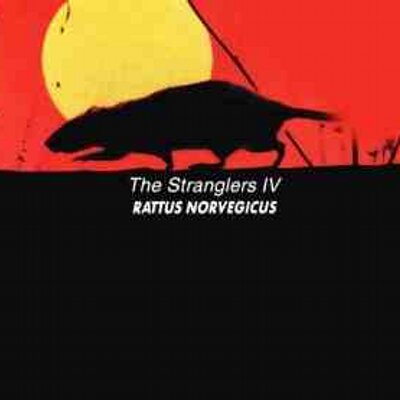 Profile Picture of David Townsend (@DaveTowns67) on Twitter