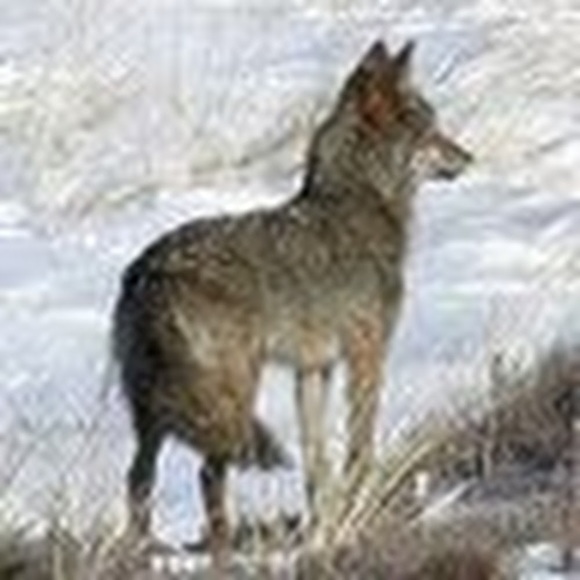 Profile Picture of Hunter Walker (@lpaul07) on Poshmark