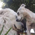 Profile Picture of Linda Bergo (@bergolinda) on Instagram