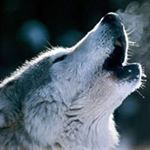 Profile Picture of jason (@jasonvestal80) on Instagram