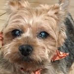 Profile Picture of Jessica Appelbaum (@jessienic28) on Instagram