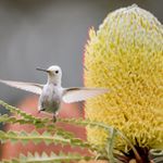 Ellen Press - Instagram Profile Picture of Ellen Press (@presshande) on Instagram