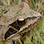 François Collet - Flickr Profile Picture of François Collet (@réco) on Flickr