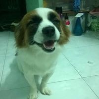 Thi Đặng - Quora Profile Picture of Thi Đặng (@thi-Đặng) on Quora