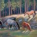 Profile Picture of Carol Pruchnofski (@pruchnofski) on Pinterest