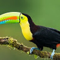 Profile Picture of Hannah Glaze (@hannah-glaze-5) on Quora