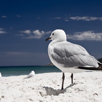 Profile Picture of Jacob Toller (@JacobTollerHSE) on Twitter