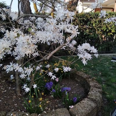 Profile Picture of Enrico Groppelli (@EnricoGroppelli) on Twitter