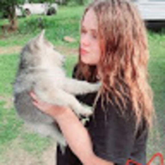Profile Picture of Linda Crouse (@lindacrouse45) on Poshmark