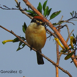 Profile Picture of Miguel Gonzalez Ramos (@miguelgonzalezramos) on Flickr