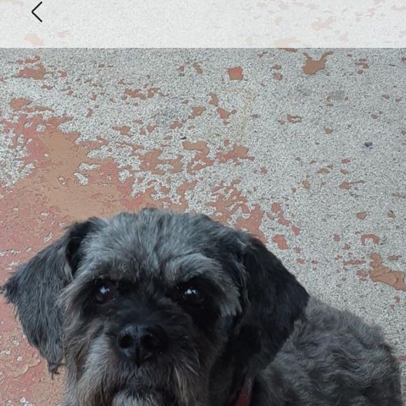 Profile Picture of Kim Lafleur (@kimlafleur1968) on Poshmark