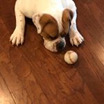 Profile Picture of Max Pollock (@mpollock3434) on Instagram