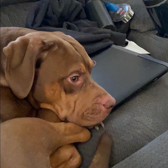 Profile Picture of Jasmine Hoffman (@jasmineihoffman) on Poshmark