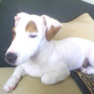 Kiki Loukaki - Twitter Profile Picture of Kiki Loukaki (@KikiLoukaki) on Twitter