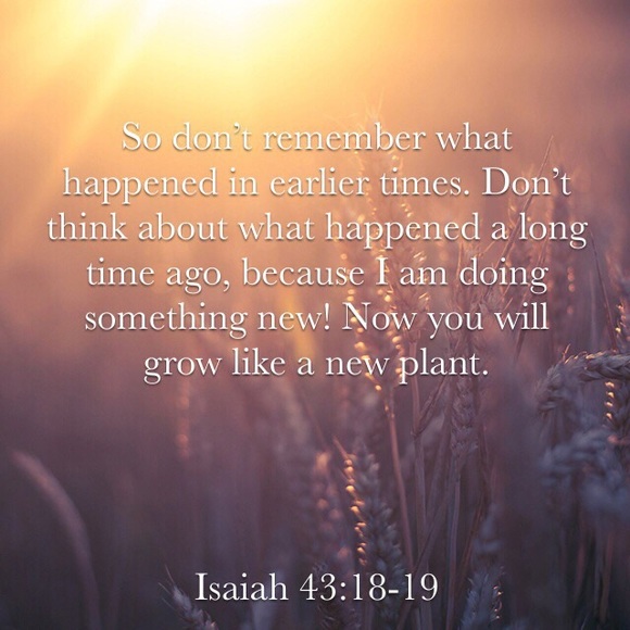 Profile Picture of Amanda Balades (@abalades) on Poshmark