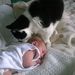 Profile Picture of James Berridge (@berridge1860) on Pinterest