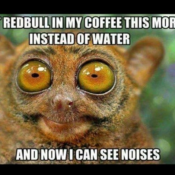 Profile Picture of Jenny Arangio (@jarangio) on Poshmark