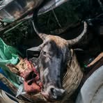 Jason Ramus - Facebook Profile Picture of Jason Ramus (@Jason-Ramus) on Facebook