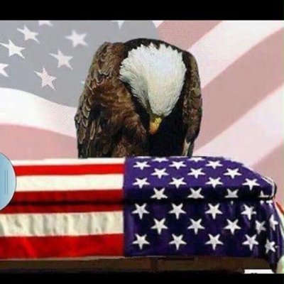 Profile Picture of Aaron Beckett (@jaxx98) on Twitter