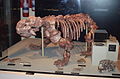 Profile Picture of Dinodontosauruson Wikipedia