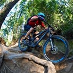 Profile Picture of Greg Galliano (@greg_galliano) on Instagram