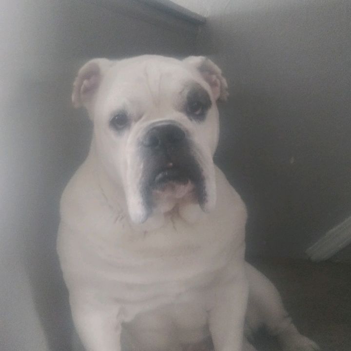 Profile Picture of Aubree Eicher (@aubreeayn_07) on Tiktok
