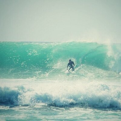 Profile Picture of William Siddall (@wilsid) on Twitter