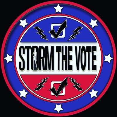 Profile Picture of Storm The Vote (@storm_thevote) on Twitter