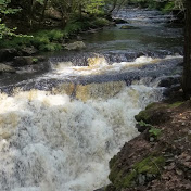 Profile Picture of Alexandra Bonner (@alexandrabonner7349) on Youtube