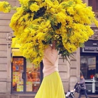 Profile Picture of Stephanie Nicolas (@stefanicolas) on Instagram