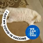 Profile Picture of Dani Zapfe (@dani.zapfe) on Facebook