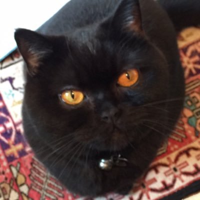 Profile Picture of Clare L (@planet_clare) on Twitter