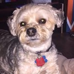 Profile Picture of jackson thomas conley (@jacksonthomasconley) on Instagram