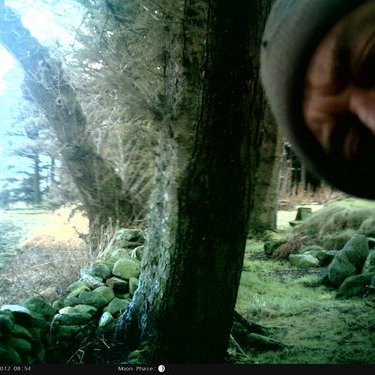 Profile Picture of Elf In The Woods (@JumbledJim) on Twitter