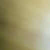 Profile Picture of Madlyn Prentice (@madlyn.prentice) on Tiktok