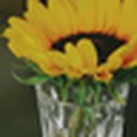 Profile Picture of Keek Utrecht (@kunsteneerlijkekoffie) on Flickr