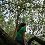 Profile Picture of Madison O'Connor (@madison_oconnor_13) on Instagram