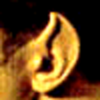 Profile Picture of Roland Paul (@samaushiih) on Twitter