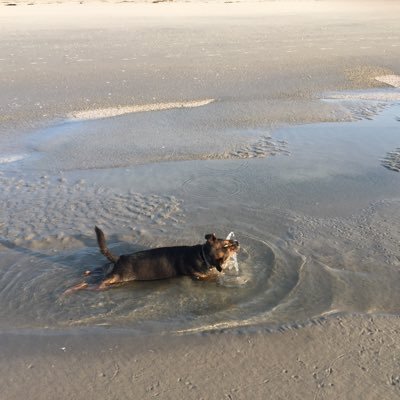 Profile Picture of Michael Dever (@michaeldever13) on Twitter