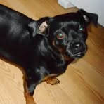 Profile Picture of Glenn Zant (@glenn.zant) on Facebook