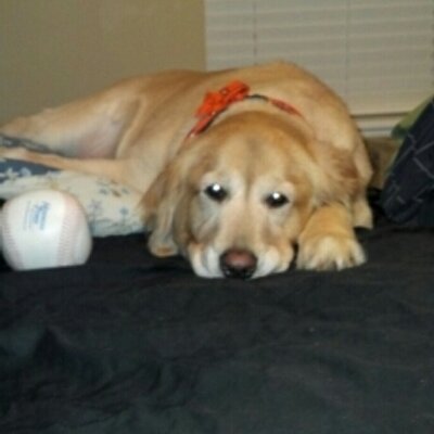 Profile Picture of Steve Mendel (@swmendel) on Twitter