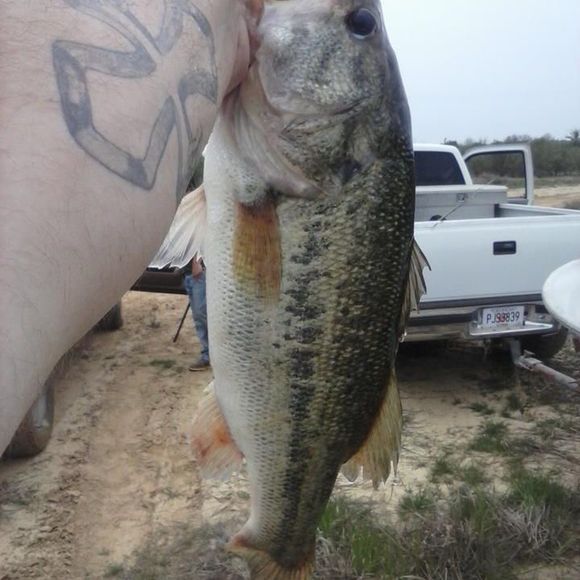 Mike Grubbs - Poshmark Profile Picture of Mike Grubbs (@grubbsmike) on Poshmark