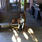 Profile Picture of Robert Whitely (@robertwhitely) on Instagram