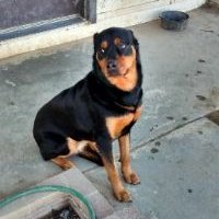 Profile Picture of Carol Fishoff (@FishoffCarol) on Twitter