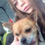 Profile Picture of Heliot 🐶 (@heliotharrison) on Instagram