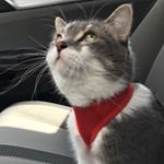 Profile Picture of Espy, Ishmael and Paul (@espythequeen) on Instagram