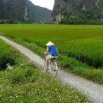 Profile Picture of Benjamin Brierre (@benjaminbrierre) on Instagram