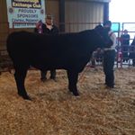 Profile Picture of Chase Hawkins (@cth_is_life) on Instagram