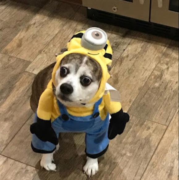 Profile Picture of Joshua Wheeler (@wjosh5126) on Poshmark